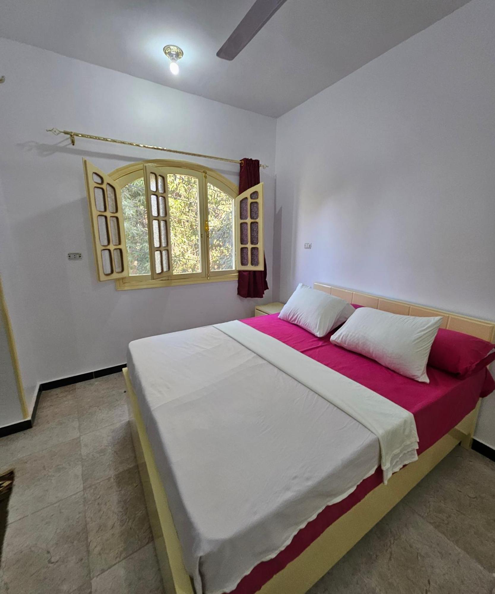 Abu Guest House أسوان المظهر الخارجي الصورة